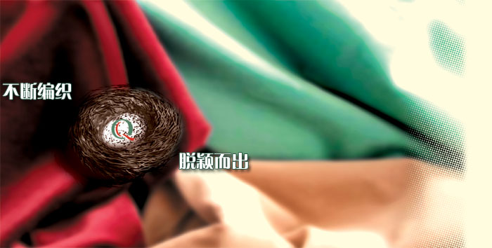 BdhsƷ޹˾